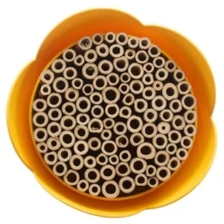 Bihotell 20 cm gul