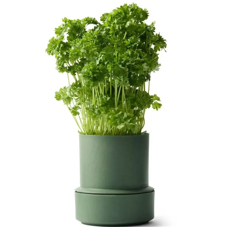Billund selvvannende urtepotte 14x12 cm parsley