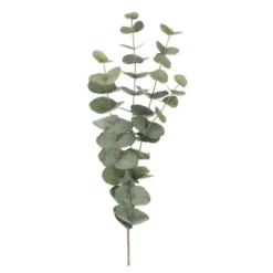 Eucalyptus 60 cm grønn