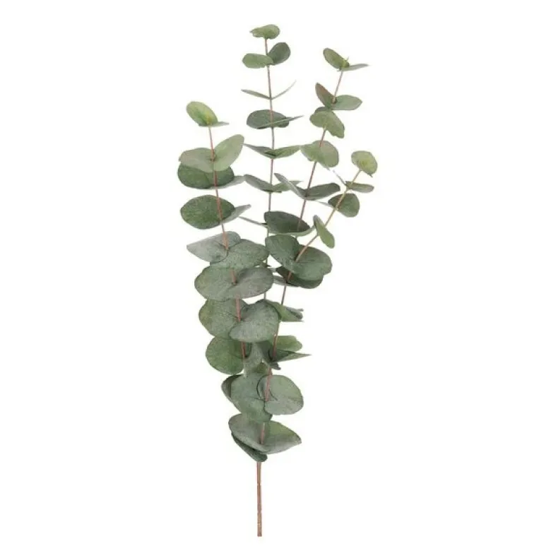 Eucalyptus 60 cm grønn