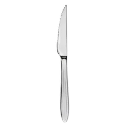 Gastro biffkniv 22 cm mirror polish