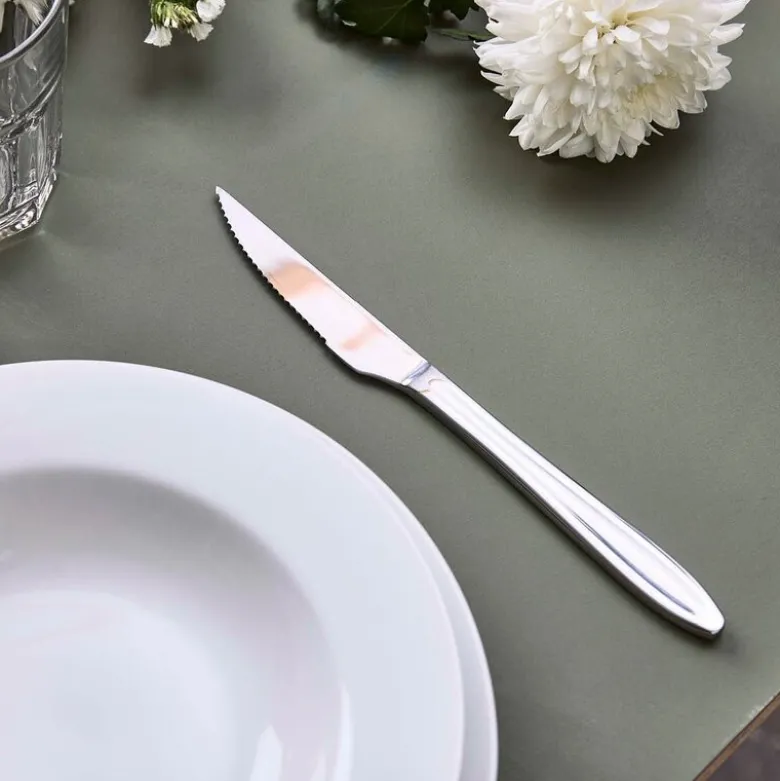 Gastro biffkniv 22 cm mirror polish