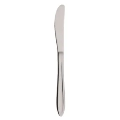 Gastro kniv 21 cm mirror polish