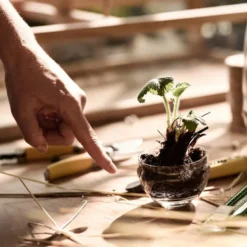 Grow urtepotte liten