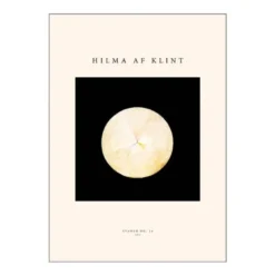 Hilma af Klint poster 50x70 cm svanen no. 14