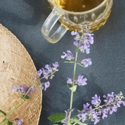 Juni piknik mugge 1,2L