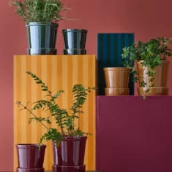 Karmen krukke med skål 17 cm forest green
