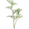Älghornsbräken 50 cm grønn