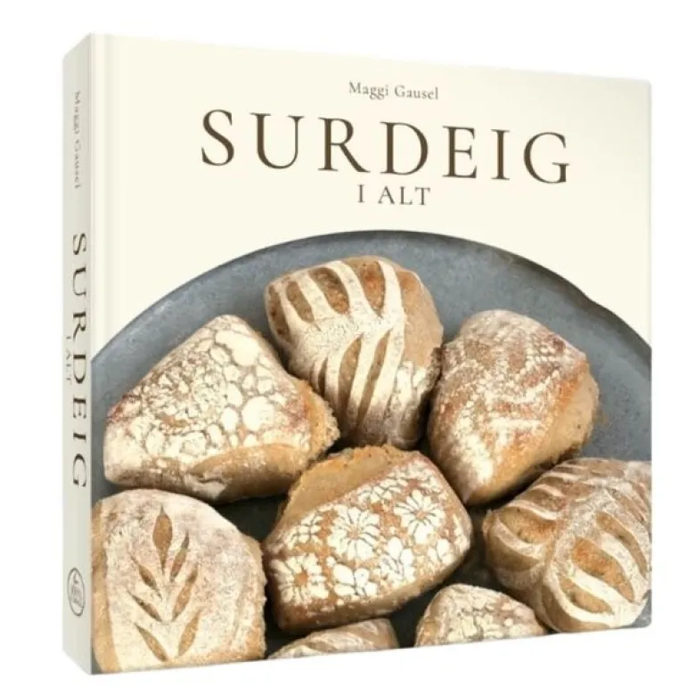 Maggi surdeigskokebok "Surdeig i alt"