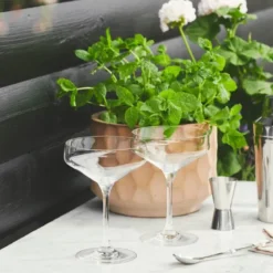 Perfection martiniglass 29 cl