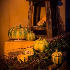 Pumpkin terrin 4,3L gresskar oransje/grønn