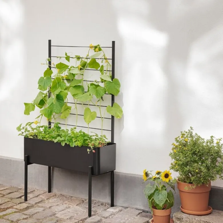 Simply Grow espalier til plantekasse svart