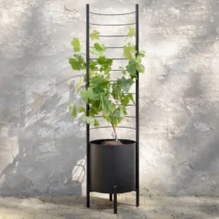 Simply Grow espalier til ytterpotte svart
