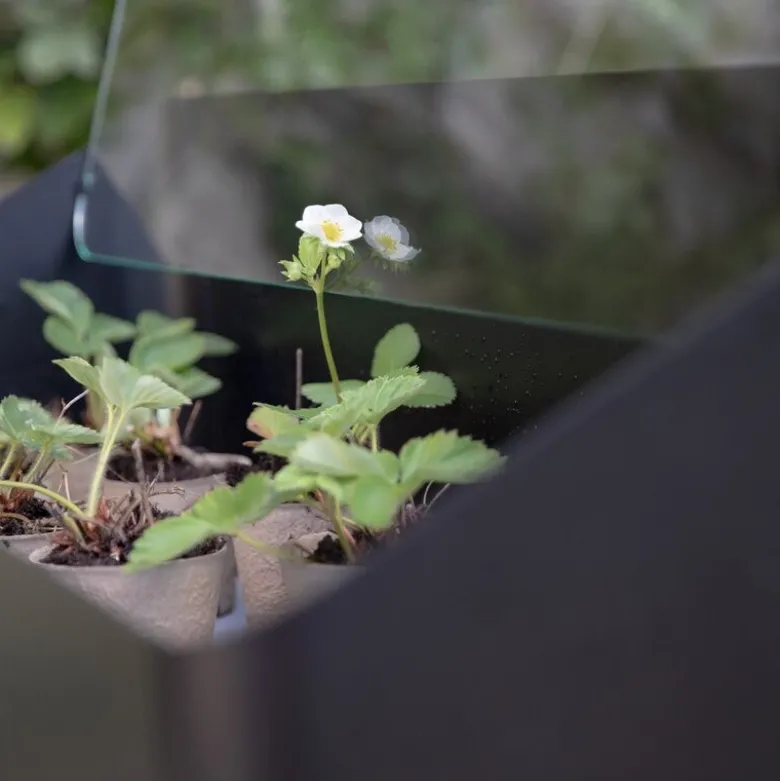 Simply Grow spirekasse svart
