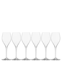 Sontell champagneglass universal 29 cl 6 stk klar