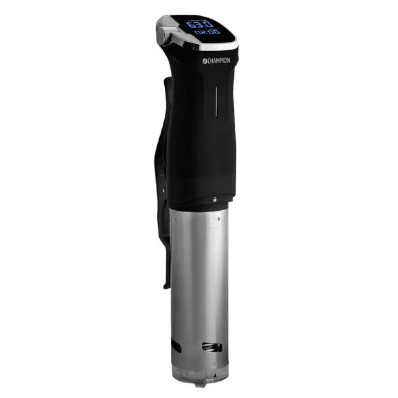 Sous vide precision circulator