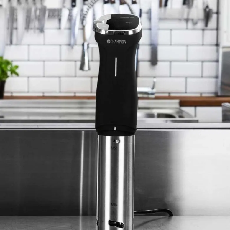 Sous vide precision circulator