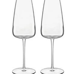 Talismano champagneglass 2 stk